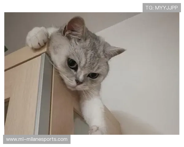 足球场上的幽默瞬间：球星们的搞笑技巧大挑战，笑到不行！